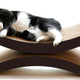 Illustration for article titled Stupid Shit Ive Bought for My Cat in an Attempt to Make Her Love Me